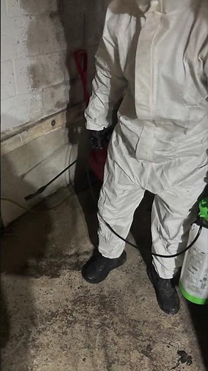 Content Cleaning and Fire Damage Structural Restoration
