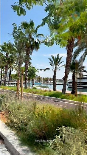 Palma, Mallorca 🇪🇸