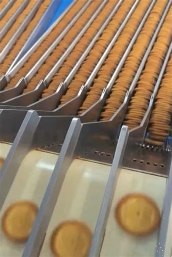 The Fascinating World of Factories: An Inside Look