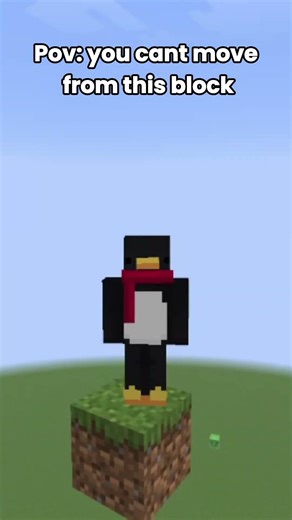 mc one block challenge #minecraft #skulledit #eddit