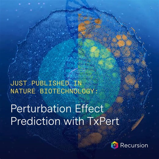 🧬 Closing the translation gap between cells and patients. 😷@NatureBiotech just published a new paper from Recursion on TxPert – a deep learning framework that accurately simulates the transcriptomic shift in unseen biological contexts. TxPert represents an important step in our ongoing work to accurately model transcriptomics and bridge the gap between in vitro discovery and clinical reality – which is critical for improving and scaling AI drug discovery.🔹 TxPert address this translational ga