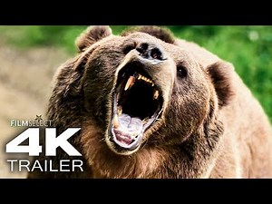 GRIZZLY NIGHT Official Trailer (2026)