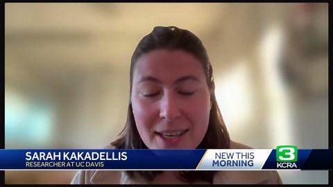 UC Davis study highlights gaps in state food waste policies