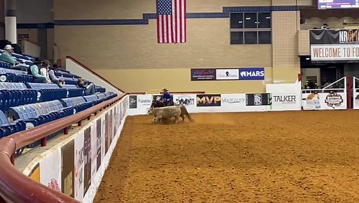 59K views · 1.8K reactions | Sarah Dawson and Selvarey take the lead in the Tres Osos Open Derby at the National Reined Cow Horse Association Celebration of Champions. They just scored a 223.5 down the fence giving them a total of 664. Tune in bc there are 9 more sets to go before the Champion is crowned. Click here https://chclivescoring.com/live.phtml?cid=8810 Dawson Performance Horses LLC | Reined Cow Horse Training | Facebook