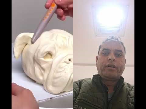 Hyper-realistic cake