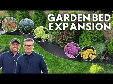 We Expanded the Back Border 🌿 Dividing, Transplanting & Adding Color for Next Season