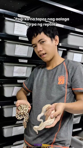 Pogi ka na tapos nag aalaga ka pa ng reptile | Crediball Pythons Reptile Farm