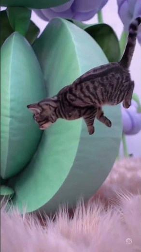 Dancing Cats to Trending Beats | Adorable Cat Dance Video That Will Make You Smile! #DancingCats
