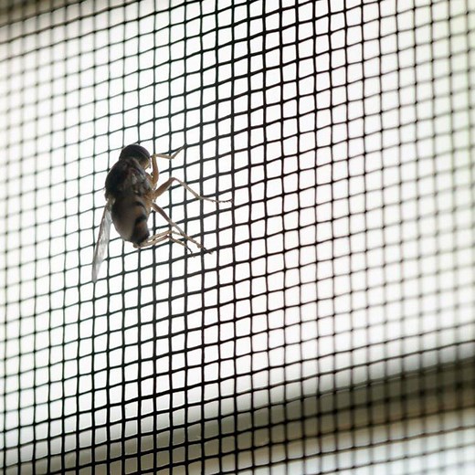 [Hot Item] Stainless Steel Termite Mesh Screen, Non-Chemical Termite Barrier