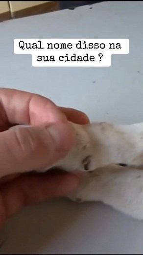 21K views · 330 reactions | Botfly Mango worms | Mango worms | Facebook