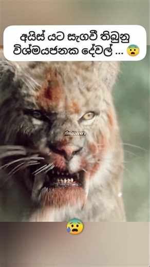 අයිස් යට සැගවී තිබුනු විශ්මයජනක දේවල් 😰💀 #sinhala #horror #horrorstories #documentary #creepy