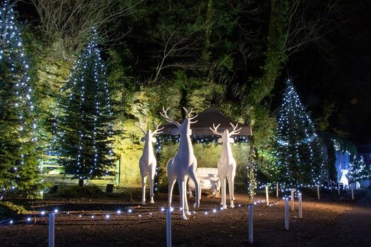 46 Magical Christmas Events in Yorkshire in 2025 ⋆ Yorkshire Wonders