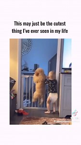 17M views · 511K reactions | Happy Saturday friends! | Dog.com | Facebook