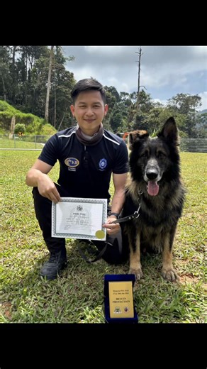 Done ✔️ 2 day PSA -PDC 17&18/1/2026 Tq for PSA MALAYSIA for invite again to join and dis time k9 smith pass for PDC 🙏🏻 and Tq judge&decoy from other country . #psamal#psamalaysiad#k9handlert#k9unitf#dog