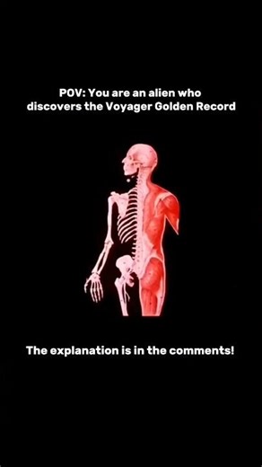 POV: You are an alien who discovers the Voyager Golden Record. #shorts