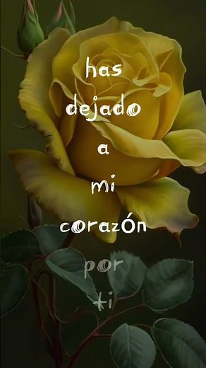 yo no tengo la culpa. Los Temerarios