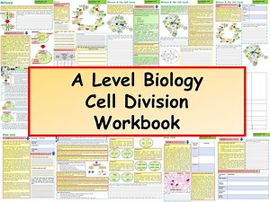 A Level Biology: Cell Division Workbook - Etsy