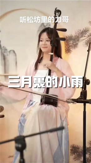 Chinese Erhu Music Performance