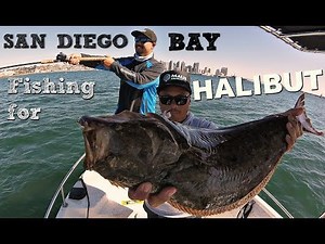 How To Catch HALIBUT - from boat in San Diego Bay