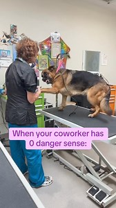 Say goodbye to chaos and hello to calm with the Dog Calming Code. . Visit this link : - https://bit.ly/we-dog-trainer . . . . . . DM for credit or removal request (no copyright intended) ©️ All rights and credits reserved to the respective owners . . . #cutedogsdaily #dogloverstagram #dogsofinstagram #dogloverclub #ilovemydog #dogsofinsta #instapuppylove #instapuppys #puppygram #puppyworld #puppyfun #doglover #dogsloversclub #dogselfies #cutedoggies #puppyloversofinstagram #puppyinstagram #puppy