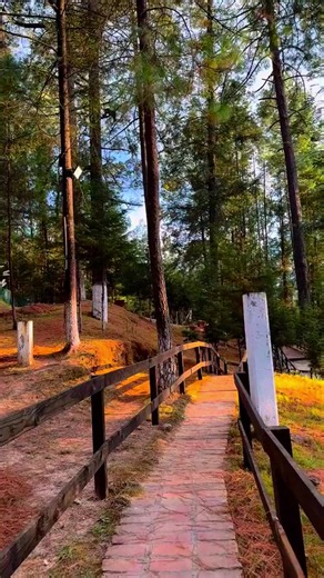☀️🌲 Este verano, cambia el ruido por el sonido del bosque. Las vacaciones saben mejor entre montañas, aire puro y momentos inolvidables. 🌿✨ Ven a vivir la aventura en Rancho Viejo Los Azufres y crea recuerdos que durarán para siempre. 📍 https://maps.app.goo.gl/pQirT6x3CVuSQfwu7?g_st=iw Reserva 📲 7861287405 ☎️ 4433242944 ¡Te esperamos! 🏕️💚 #VeranoEnRanchoViejo #VacacionesConNaturaleza