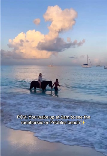Experience Sunrise with Racehorses at Pebbles Beach