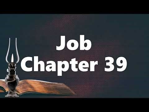 The Book of Job Chapter 39 - New King James Version (NKJV) - Audio Bible