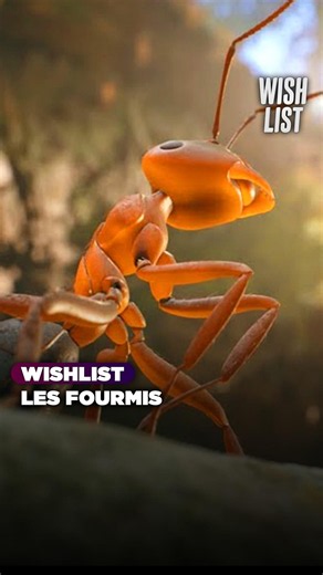 POV : T'es une fourmi 🐜