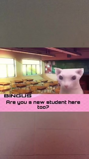 Bingus: My Beloved - June 2021