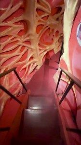 POV: You Shrunk Inside a Giant Human Heart 🫀 | Back-to-School at The Franklin Institute