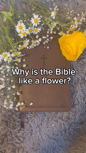 Why is the Bible like a flower? #jesus #bible