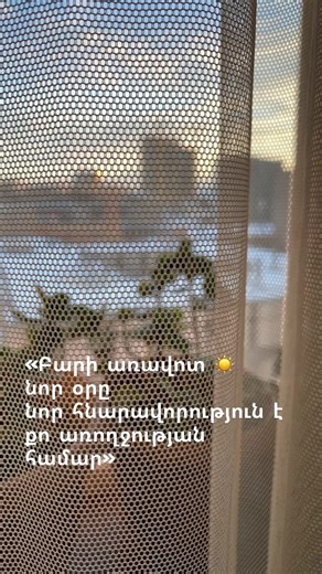 Rp Սննդի Խորհրդատու/Coach (@rp93653)’s videos with Rockin - Chris Alan Lee