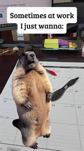 Relatable Office Humor for Tough Weeks