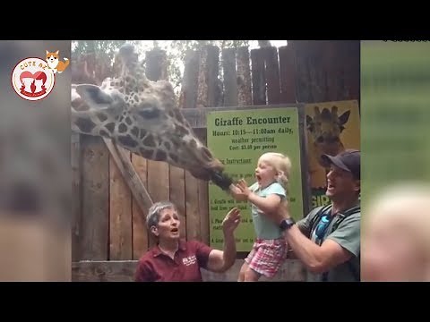 Funny Zoo Animals Scaring Kids! Funniest Animals Videos 2019 | Cute AZ