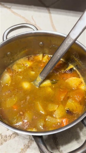 Sunday Lunch ❌ Food Festival ✅ #garikapati #bratislava #southindianfood #sambar #vadiyalu