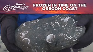 Oregon Coast beholds 12 million years of geological history