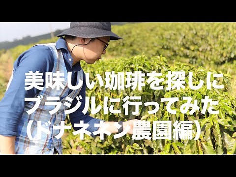美味しい珈琲を探しにブラジルに行ってみた（ドナネネン農園）