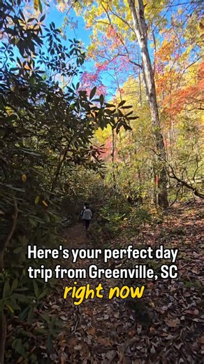 Kidding Around on Instagram: "Scrolling to find something? Go see the incredible fall leaves out near Walhalla! 🍂 Here's your itinerary: Morning: Hike to Yellow Branch Falls - 3 mile moderate hike Lunch: Picnic at Stumphouse Tunnel & Yellow Branch Falls Treat: Homemade ice cream (or hot chocolate) at Humble Pie in Long Creek Bonus: Short hike to Brasstown Falls All videos taken November 1, 2025. #fall #kiddingaroundgreenville #visitoconeesc #waterfalls"