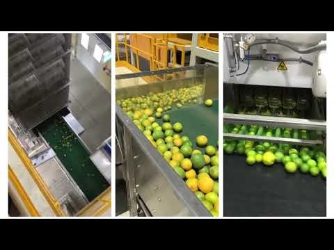 JBT Citrus Juice Extractor 1
