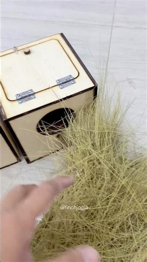 Preparing nest boxes for finch breeding cages. Small details shape the next generation.