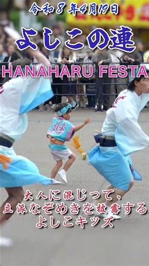 大人に混じって、立派なぞめきを披露するよしこキッズ！！HANAHARU FESTA 2026 『よしこの連』#shorts #awaodori #祭り