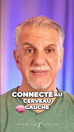 Le cerveau droit et gauche : une clé pour comprendre notre perception