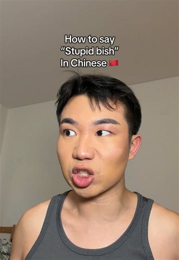 How to say “stupid bish” in Chinese #learnchinese | Chinese Language Learning
