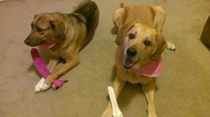 Adding Large Numbers Using Columns