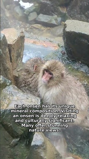 Japan's Beautiful Hot Springs: A Relaxing Experience
