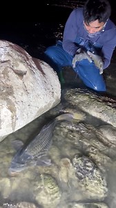 Akoy kinabahan sa laki ng isda | Master Frenz