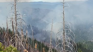 10 Tanker can drop 9,400 gallons of retardant covering up to a mile long- making the DC-10 a very efficient form of aerial firefighting! Video footage provided by one of the many hardworking smokejumpers on the #monumentfire #ReadyToServe #10Tanker #dc10 #wildfireseason #forestfires #monumentfire #aviationphotography #FireMappers #smokejumpers | 10 Tanker Air Carrier