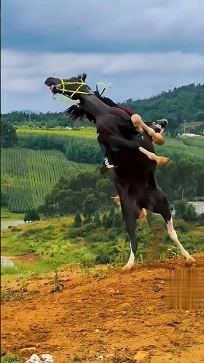 What is it like to fall off a horse #FloraFauna