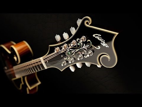 Inside Collings Mandolins