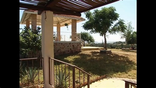 Destilando amor Capitulo 11